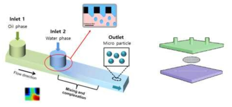 사출성형 미세유체칩의 작동 원리 (좌) 및 구성 (우)