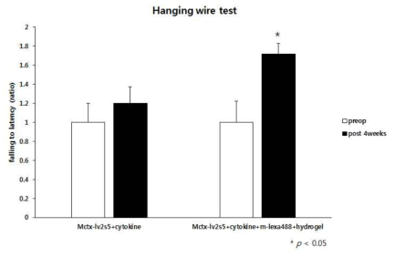 이식 치료 후 Hanging wire test 결과: 이식 후에는 대조군(Mctx-lv2s5+cytokine)에서는 이식 전후 차이가 없었으나 hydrogel 세포 이식군(Mctx-lv2s5+cytokine+m-lexa488+hydrogel))에서 이식 후 이식전에 비해 매달리는 시간이 유의성 있게 증가함