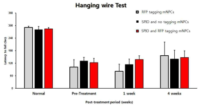 Haingwire test 결과 Capusuling과 SPIO의 유무가 기존 세포 이식 치료에서의 행동학적 회복에는 영향을 미치지 않음