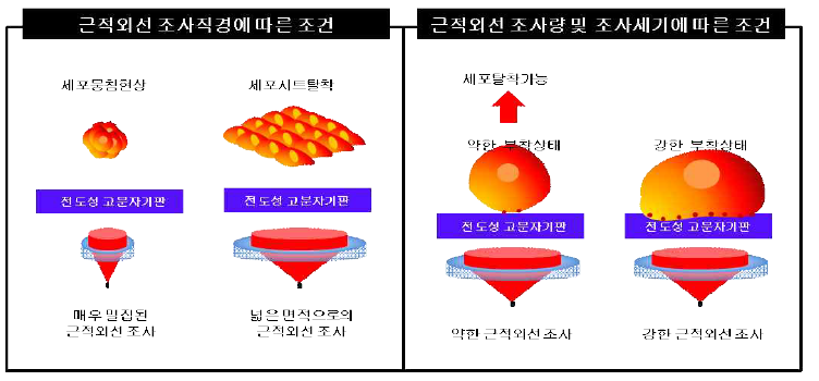 근적외선 조사조건에 따라 수반되는 광열효과 특성과 세포탈착간의 영향