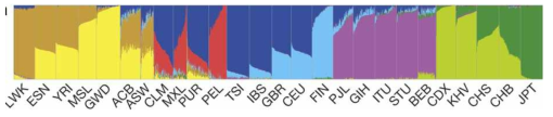 민족 (ethnic group)별로 다른 유전체 structure (ref.2)