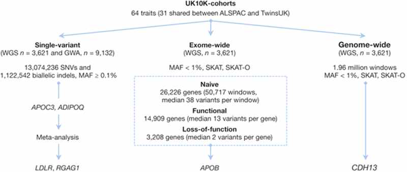 UK10K study의 질병-유전체 연관 연구에 대한 요약. (ref.6)