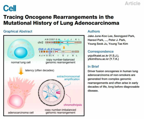 lung adenocarcinoma 유전체 (일반) 지원 연구의 graphical abstract