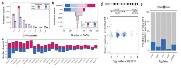 KOVA 데이터를 활용한 copy number variation 분석 결과