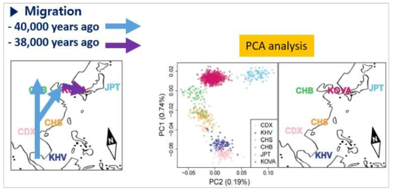 동아시아 인구 이동 경로 및 지역별 PCA 분석 결과 비교