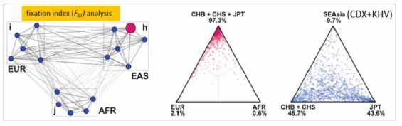 유럽∙아프리카∙아시아∙한국인 사이의 Fixation index (FST) 분석 결과