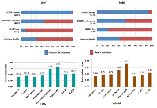 KoVariom 특이적인 유전변이와 희귀변이(rare variant)의 분포도