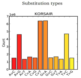 KORSAIR 데이터베이스의 염기치환 경향