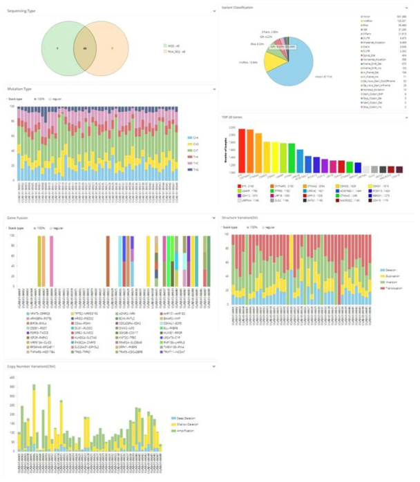 데이터 통계 및 브라이징 자동화 기능으로 생성된 페이지