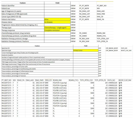 환자 정보 데이터 필드 정의 예 및 실제 데이터 예