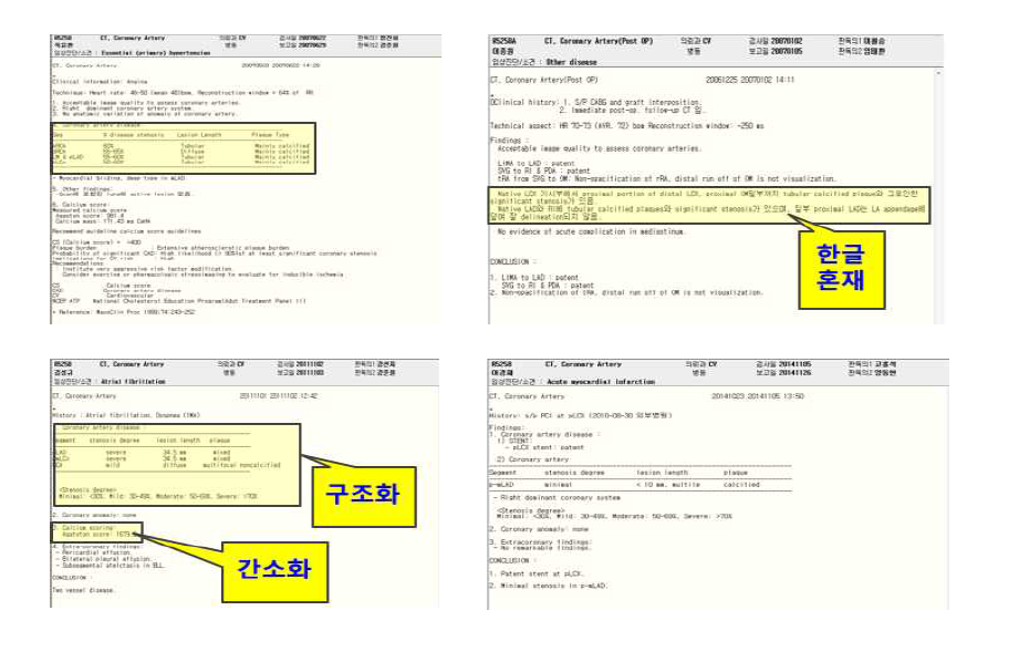 심장 CT 판독문에서 추출된 유의미한 필드