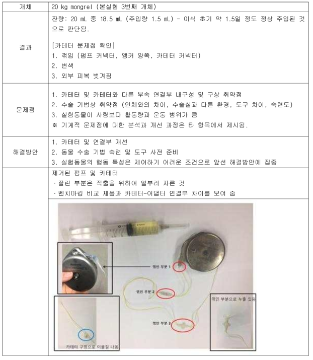 개체 #3 (2017.5.19.) - Autopsy & 제거 수술