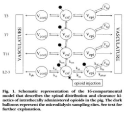 16-compartment model of intrathecally-administrated drugs (Ummenhofer WC, Arends RH, Shen DD, Bernards CM. Comparative spinal distribution and clearance kinetics of intrathecally administered morphine, fentanyl, alfentanil, and sufentanil. Anesthesiology. 2000 Mar;92(3):739–53.)