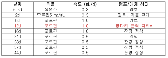 개체 #13 결과