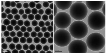 합성된 250 nm 실리카의 TEM 사진