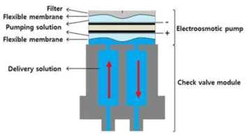 flexible membrane이 포함된 전기삼투펌프/체크밸브 유닛의 구조