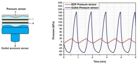Flexible membrane의 약물이 닿는 부분과 그 반대편에 닫힌계로 이루어진 공간에 각각 압력센서를 설치하였을 때 전기삼투펌프를 구동에 따른 양단 압력의 변화