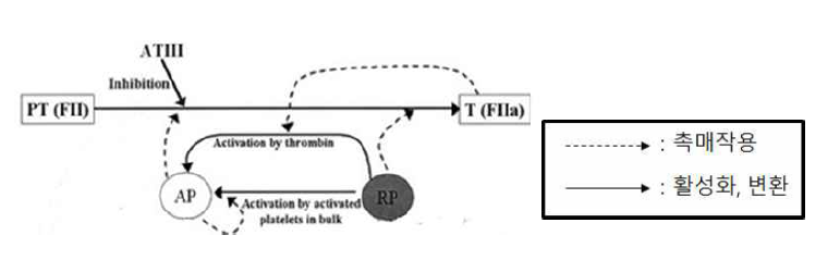 트롬빈 형성 과정