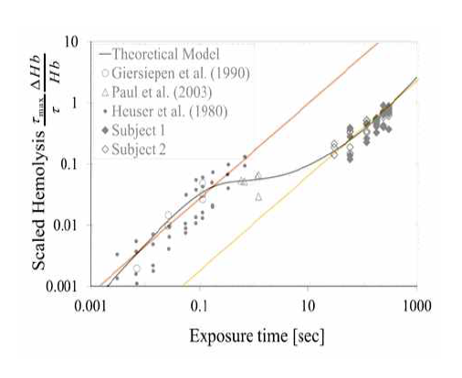 Two time scales regimes on hemolysis