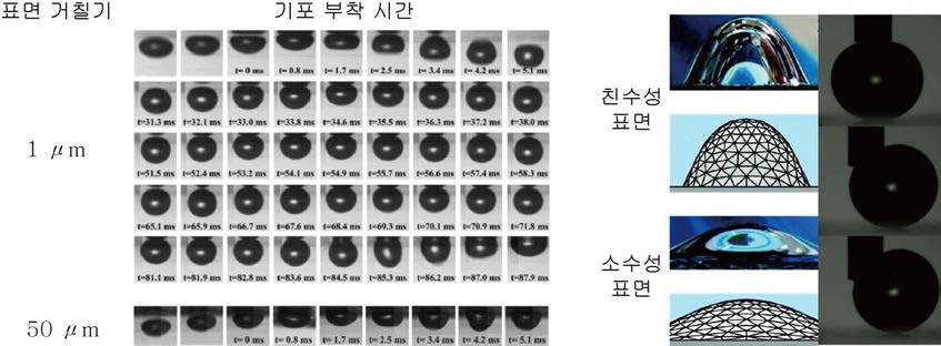 표면 거칠기에 따른 기포 부착 시간 (Krasowska et al., 2007) (좌) Wettability 에 따른 기포 형상 및 초친수성 표면에서 기포 거동 (Ling et al., 2011) (우))