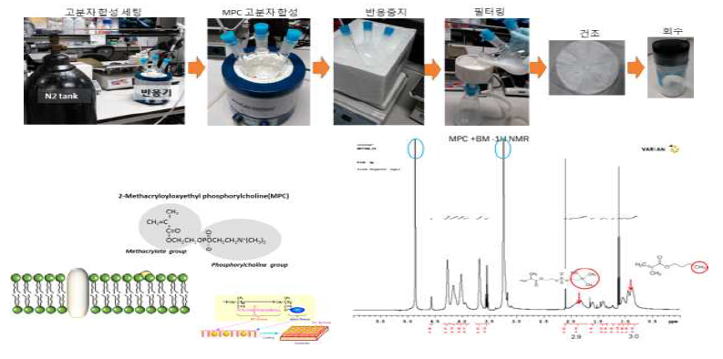 MPC 고분자 중합과정, MPC의 구조 및 NMR 분석결과