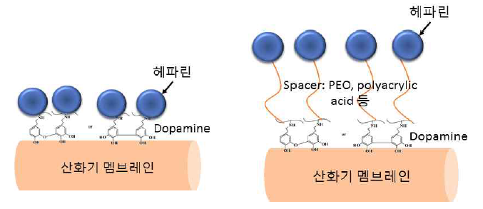 산화기 중공사 표면에 도파민=>PEO=>헤파린 결합하는 표면개질 개념도