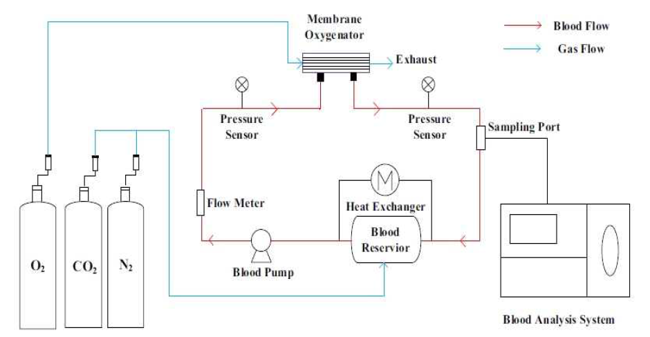 혈액산화기 성능평가를 위한 체외실험 설계