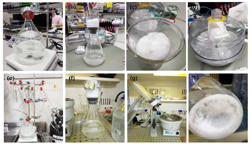 MPC copolymer합성. (a)~(d) 중합반응의 개시제인 AIBN 재결정 과정. (e)~(h) 개시제를 이용한 라디칼 중합반응 과정. 이 과정을 거쳐 하얀 결정을 얻음