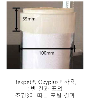 최적화된 포팅 공정 조건 포팅 결과