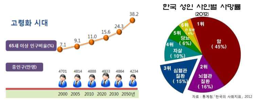 한국 고령화 추세 및 성인 사망의 주요 원인