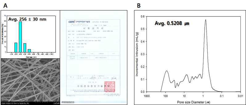 (A) 직경분석 SEM 이미지, 직경분포 및 성적서, (B) 기공분포