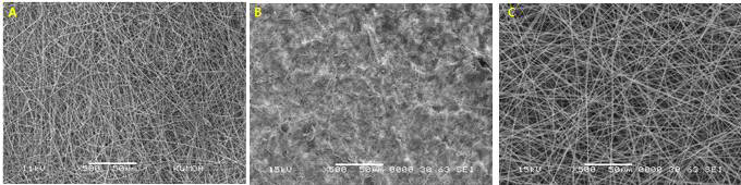 나노섬유 SEM 이미지; A) 기존 공정(노즐방사) 방사 직후 , B) 기존공정(노즐방사) acetone을 이용한 세척 후, C) 개선된 공정 acetic acid 잔여 용매 제거 후