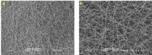 나노섬유 SEM 이미지; A) 단순 진공 건조 후. B) 개선된 가온진공건조 공정 후