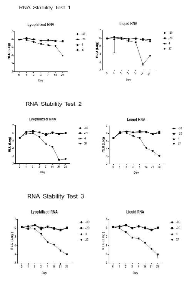 RNA Stability Test