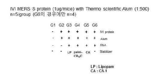 면역 그룹 (IVI MERS S protein을 이용한 hDPP4-Tg mouse 면역)