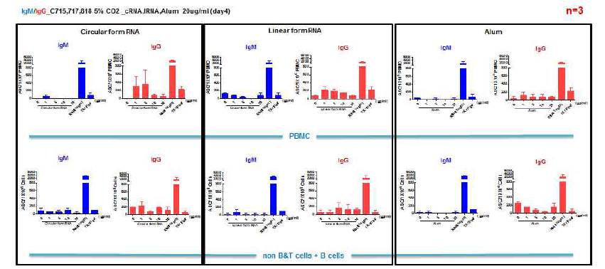 Rhesus macaque PBMC 및 정제한 non-B&T + B cell에 RNA adjuvant 처리한 결과
