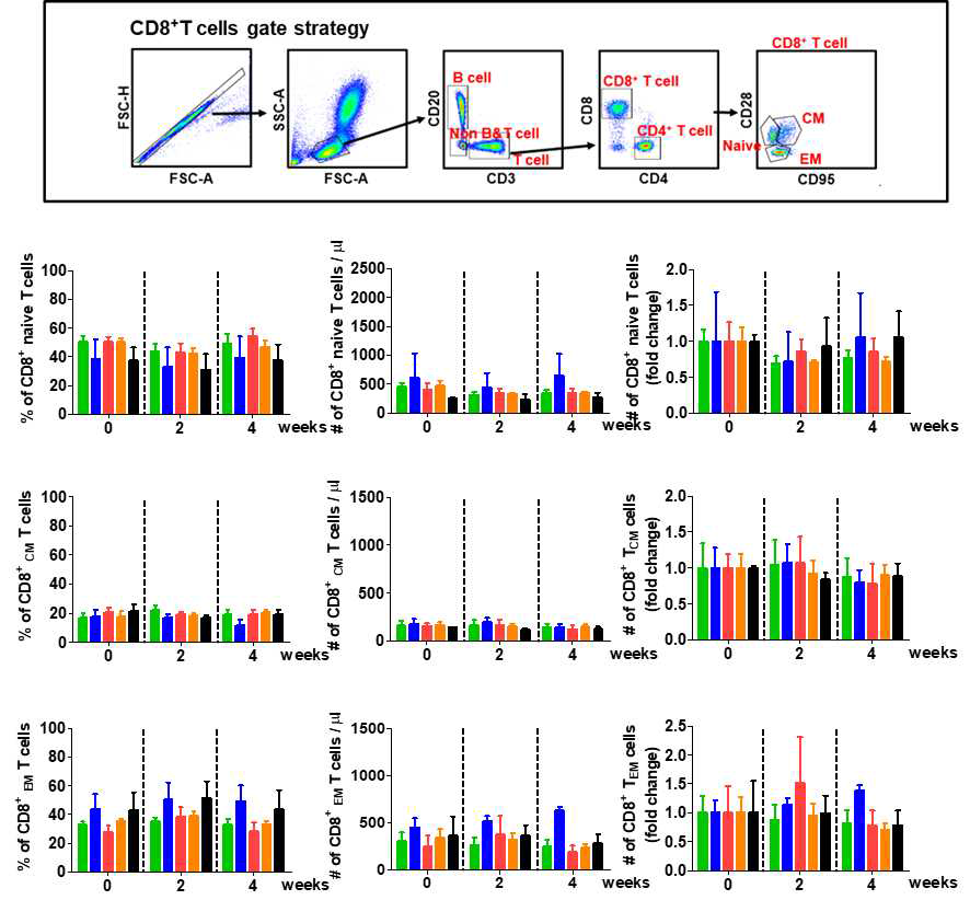 1차 면역 후 CD8 T cells의 변화 (CM, central memory; EM, effector memory)