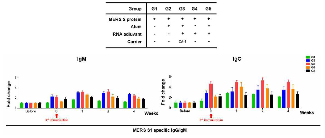 3차 면역후 MERS S1 특이적인 IgM/IgG 항체가 측정 결과