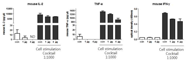 비장세포에서 Cytokine (mouse IL-2, TNF-α, mouse IFN-γ) 생성 확인