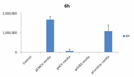 IRES group 2/3/4 및 pCureVac RNA vaccine platform의 renilla luciferase 발현 효율 비교 (HeLa cell)