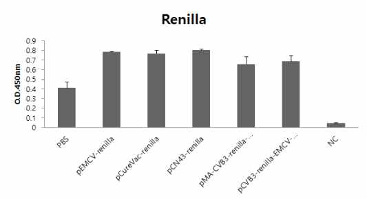 Balb/c 마우스에 RNA/protamine mixture를 근육주사를 통해 2차 면역 후 혈청 내 renilla luciferase 항체값 측정