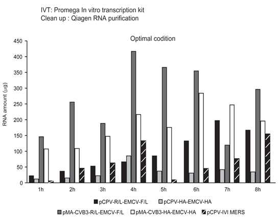 Promega in vitro transcription kit를 이용하여 각 RNA platform별로 IVT를 진행 후 Qiagen RNA purification을 이용하여 mRNA isolation