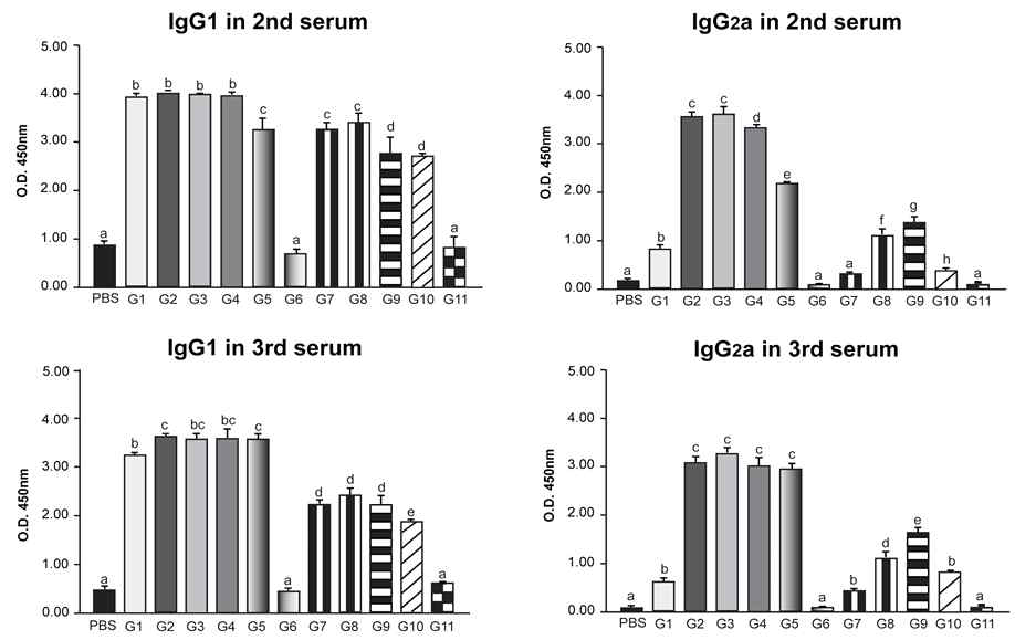 Boosting 후 Serum내의 IgG1/IgG2a 항체가 분석