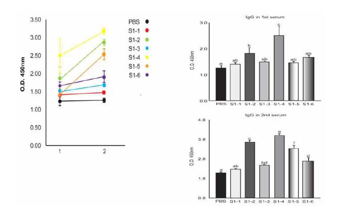 2회 면역 후 MERS spike protein specific total IgG 분석