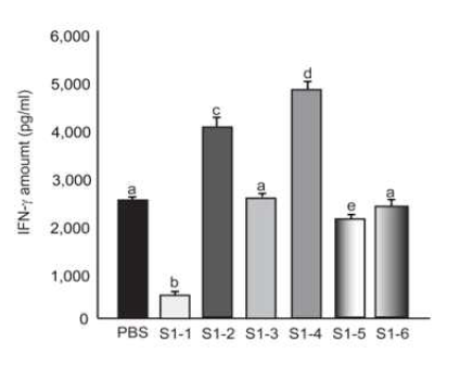 MERS spike specific T cell epitope peptide로 자극한 면역된 마우스의 splenocyte에서 분비된 IFN-γ양