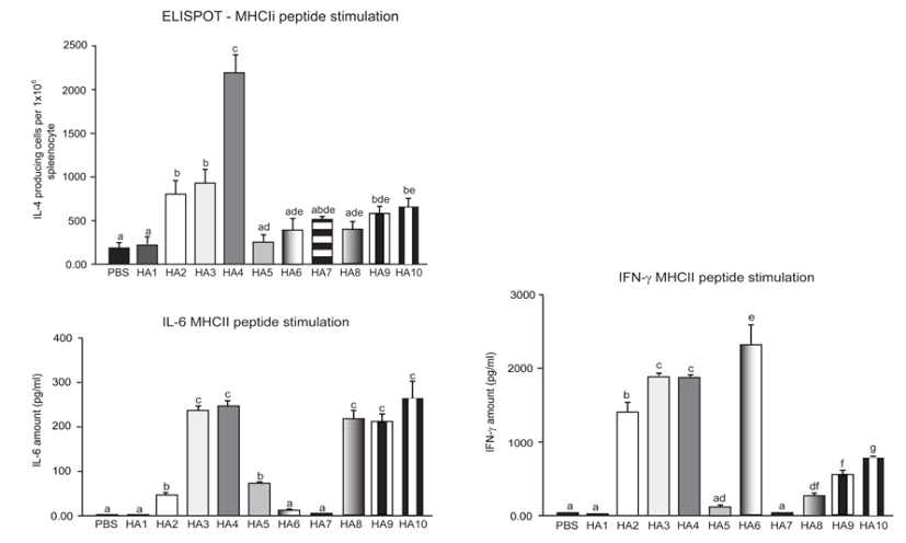 인플루엔자 HA에 존재하는 MHC II 유도 peptide complex로 stimulation 한 면역된 마우스 splenocyte 내의 IL-4 분비 Th2 cell population 및 상층액 내의 IL-6 / IFN-γ 양 분석