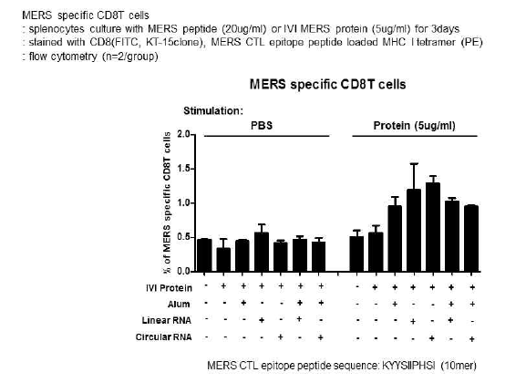 면역한 마우스의 splenocyte의 FACS를 이용한 MERS specific CD8 T cell의 발현 (tetramer이용)