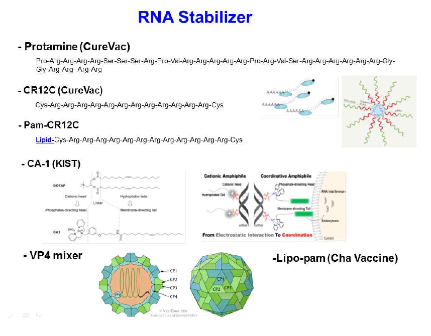 본 과제에서 사용한 RNA stabilizers 종류