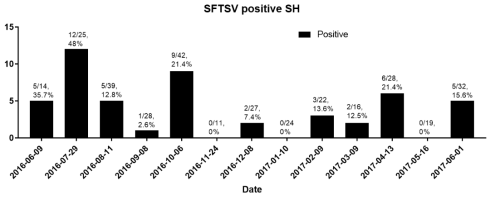 제주도 선흘리(SH) 지역에서 작은소참진드기에서 SFTS 바이러스 유전자 양성 검출율