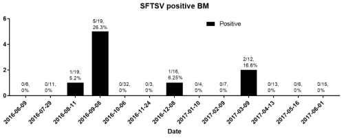 제주도 보목동(BM) 지역에서 작은소참진드기에서 SFTS 바이러스 유전자 양성검출율